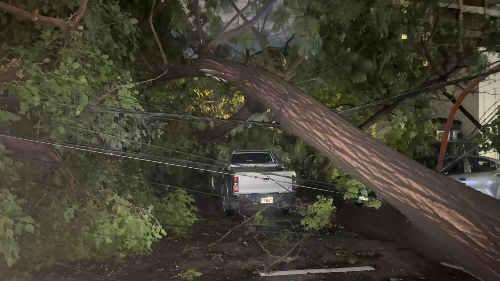 WhatsApp Image 2026-01-24 at 8.14.28 AM