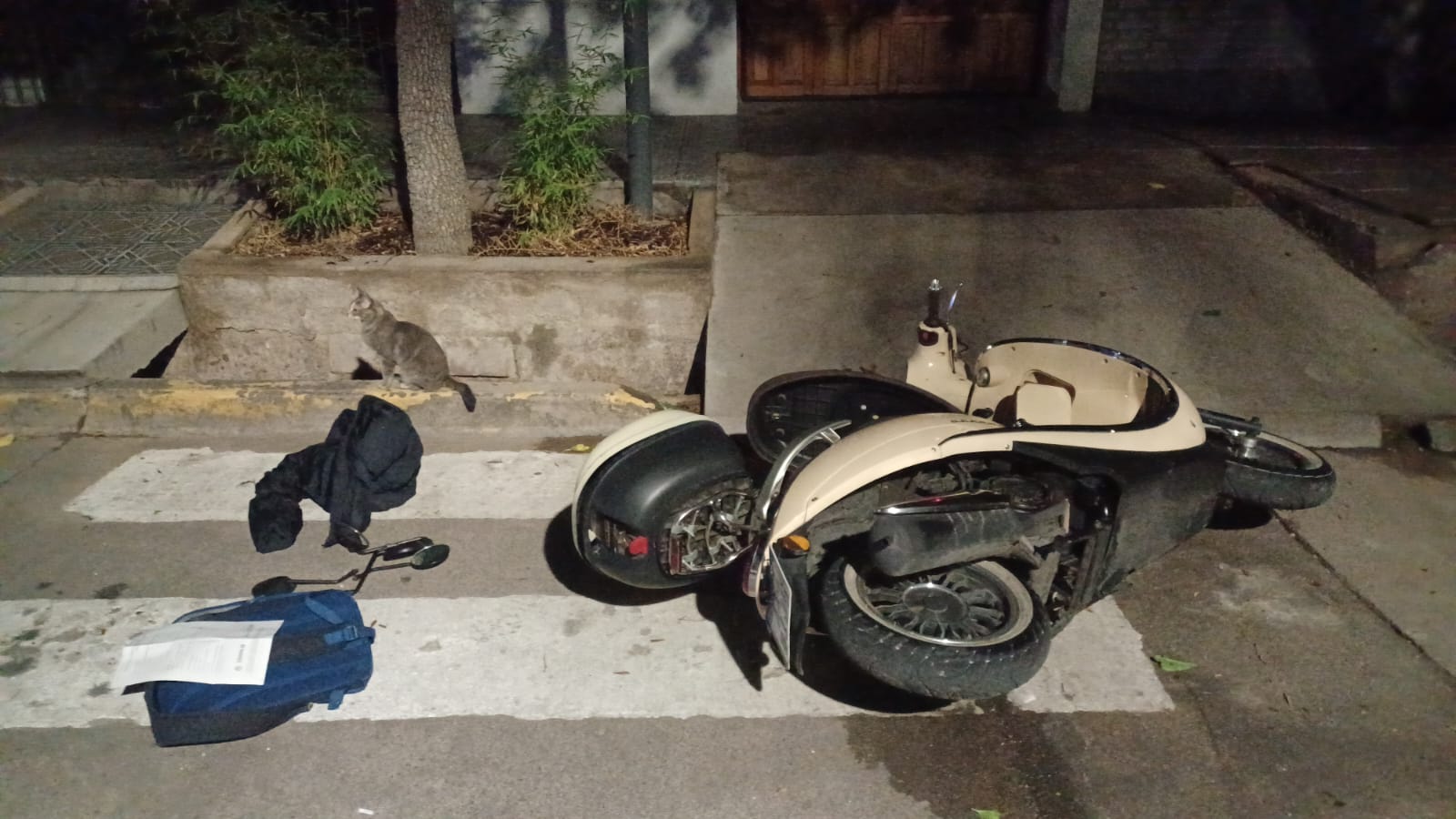 a1b7b096-fa6a-8cc9-bc5c-f911b6356c0a (1)