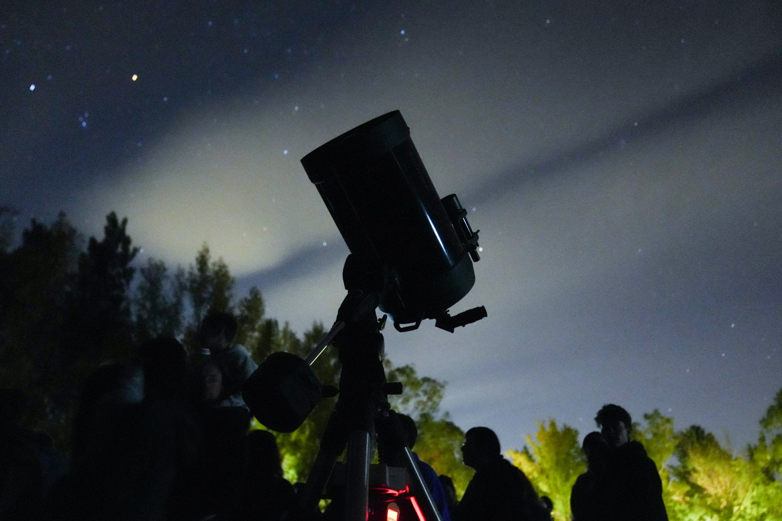 <b>Error:</b> can't render field data in the current format. You can try "Get child value" callback. Available children: rendered. Or one of array-related callbacks - "Multiple select field values", "Checkbox field values", "Checked values list" etc