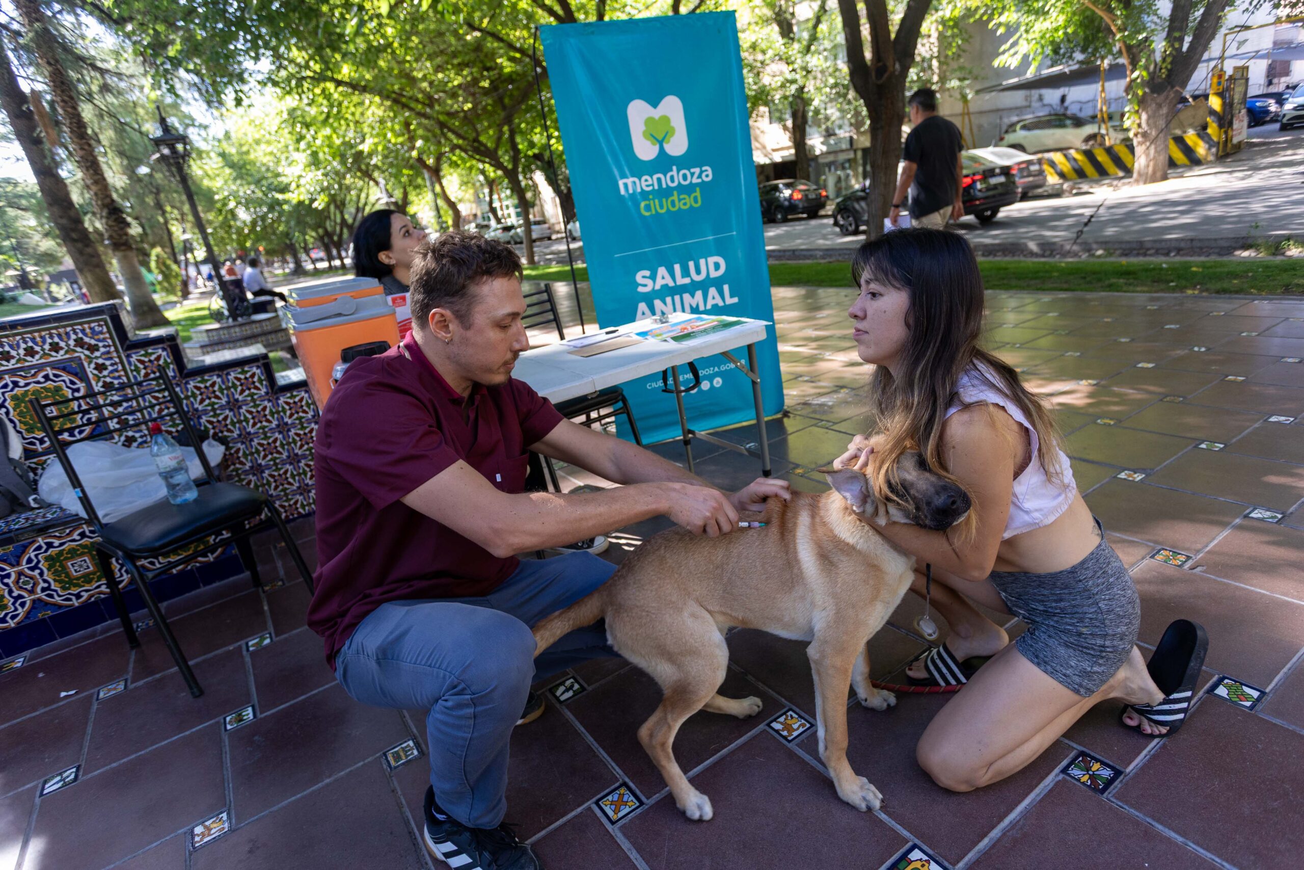 <b>Error:</b> can't render field data in the current format. You can try "Get child value" callback. Available children: rendered. Or one of array-related callbacks - "Multiple select field values", "Checkbox field values", "Checked values list" etc