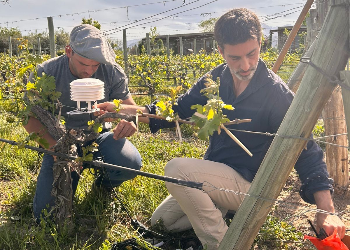 <b>Error:</b> can't render field data in the current format. You can try "Get child value" callback. Available children: rendered. Or one of array-related callbacks - "Multiple select field values", "Checkbox field values", "Checked values list" etc