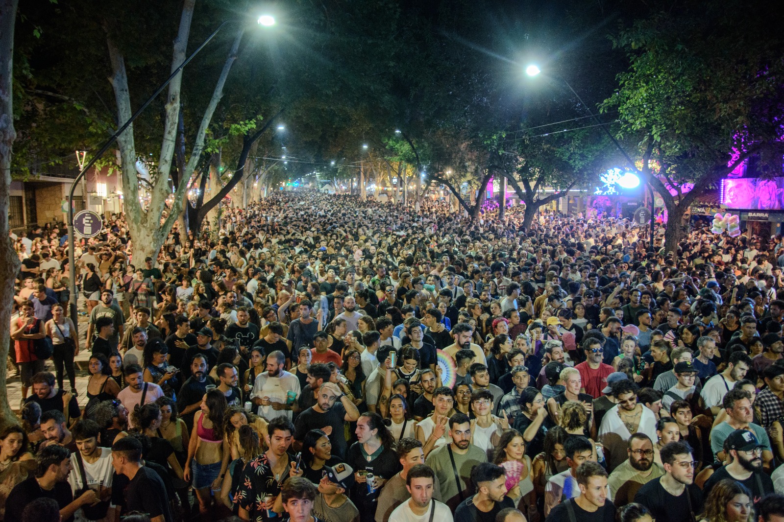 WhatsApp Image 2026-02-13 at 11.03.13 AM (1) - copia