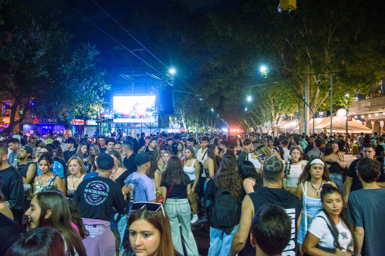 WhatsApp Image 2026-02-13 at 11.03.13 AM - copia