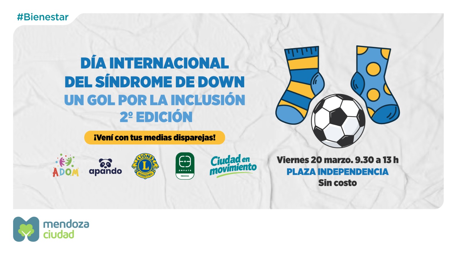 WhatsApp Image 2026-03-11 at 12.04.12