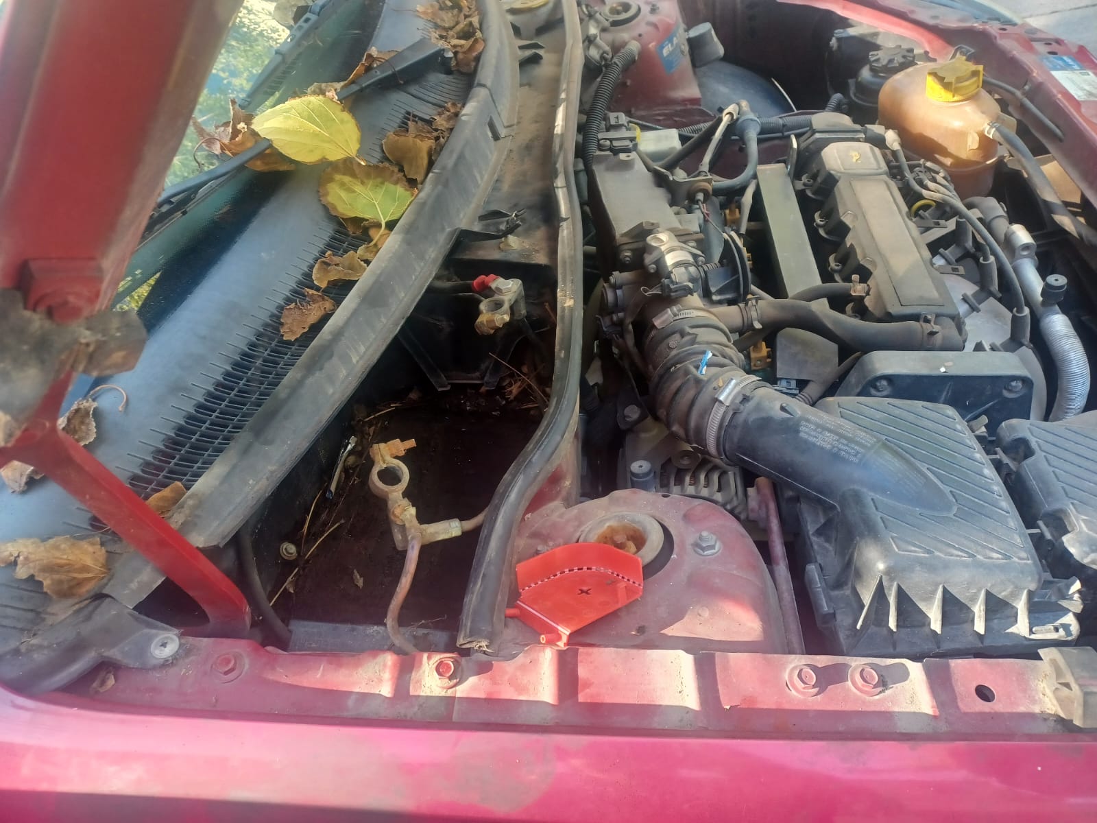 0af8ace6-9b31-e585-459f-eda3d6bc94c6