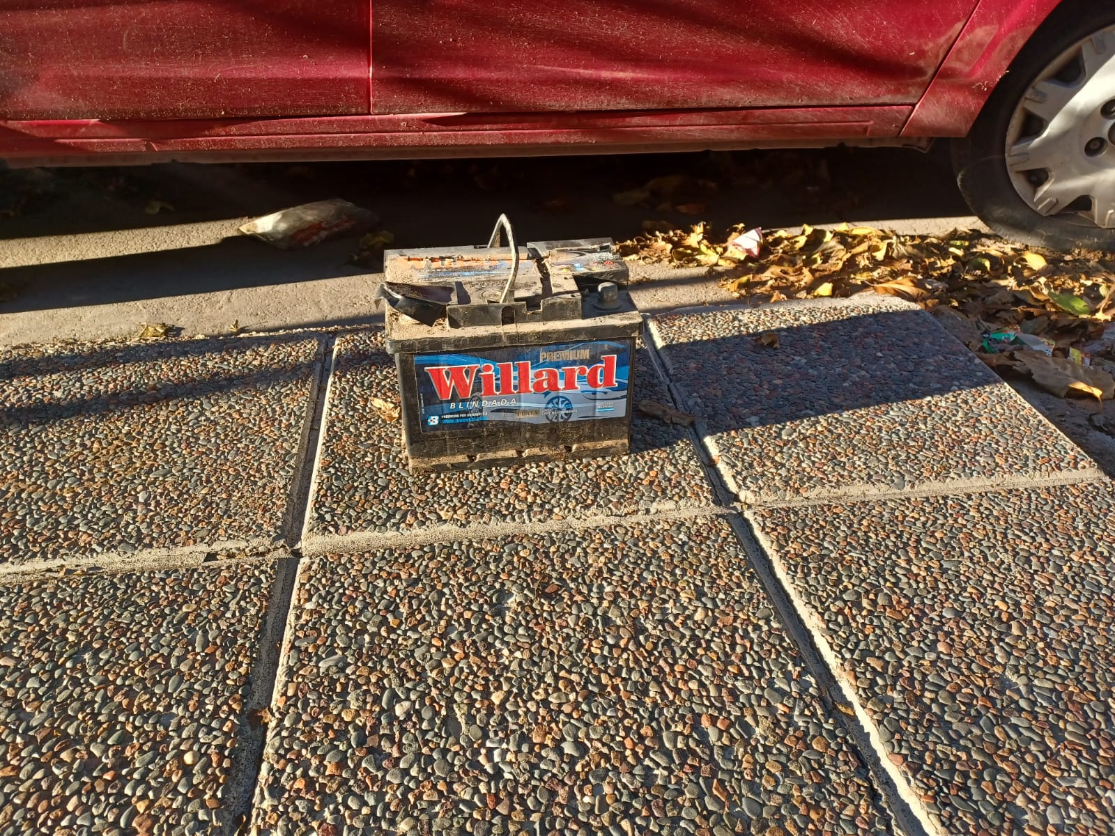 23c7c191-8627-2702-2590-0e9be0a2c44a