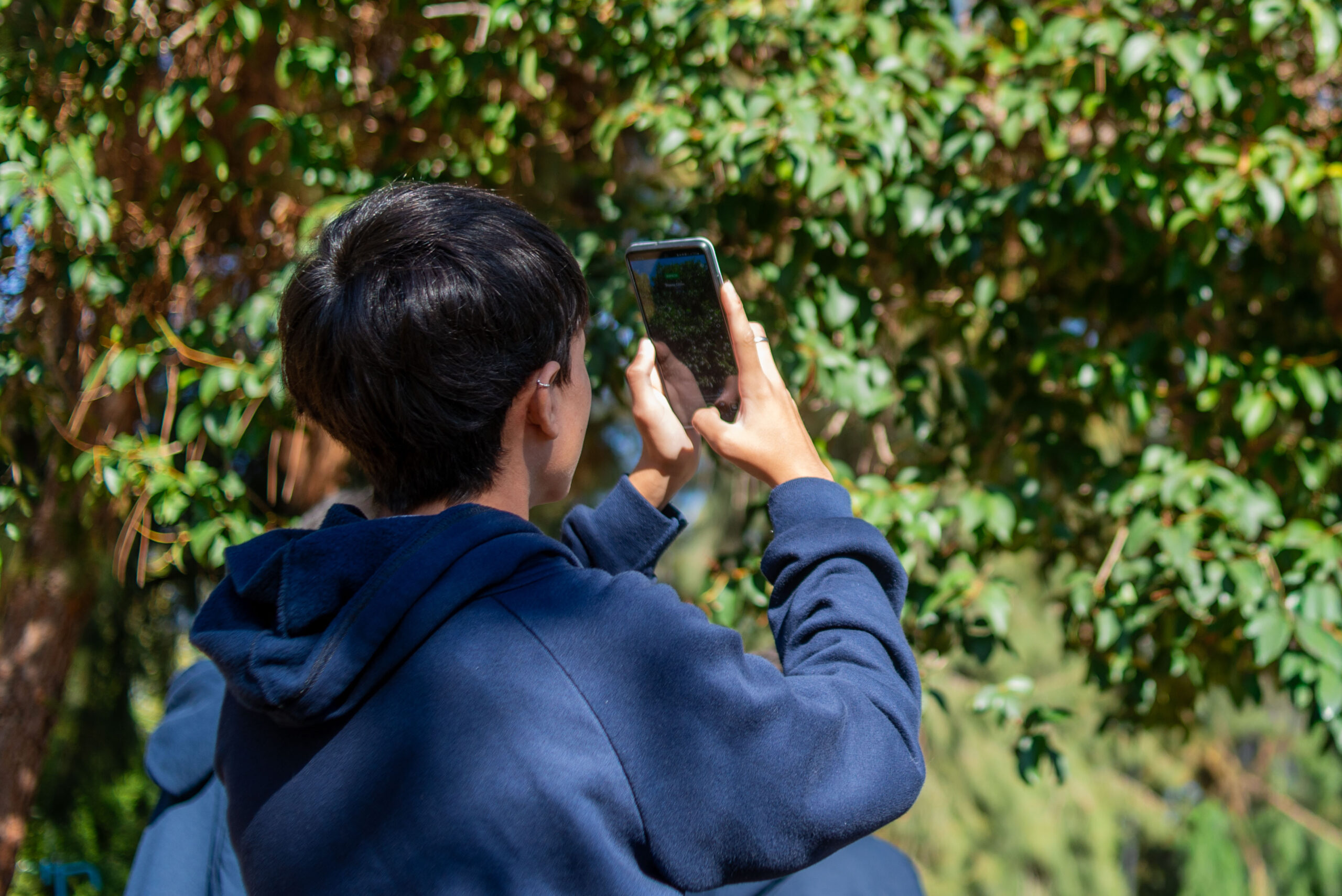 3533c969-ceda-037b-8eee-072909b211d7