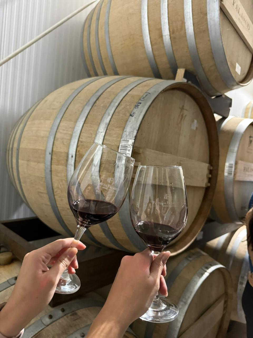 WhatsApp Image 2026-04-06 at 2.38.01 PM