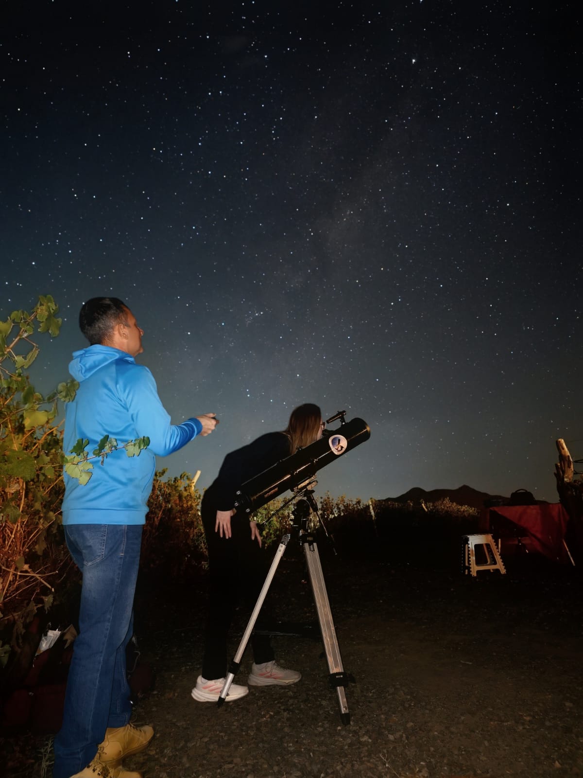 bd09eae4-f8c9-3a5e-ab4e-c618d51dc3cb