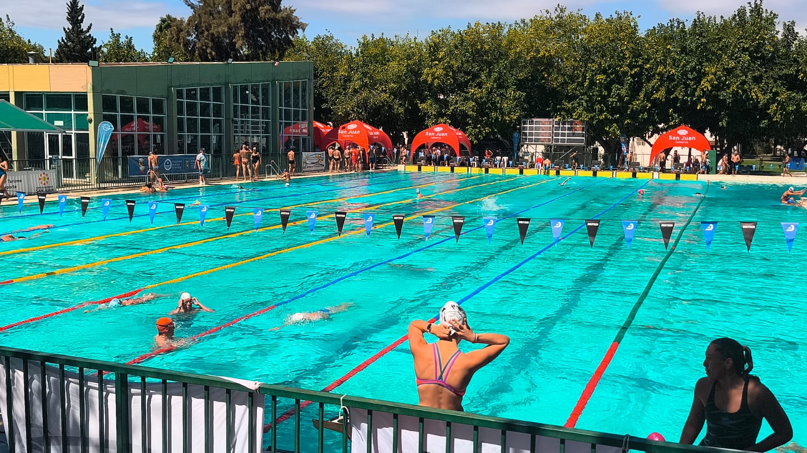 whatsapp_image_2026-03-25_at_16.31.01(1)