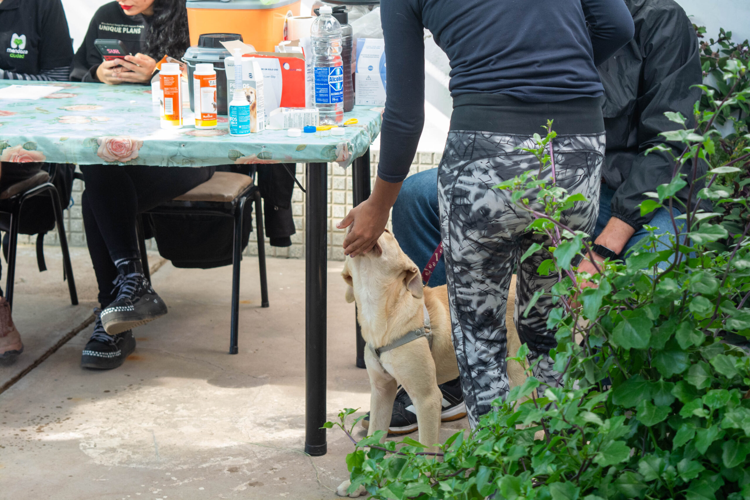 DSC_0557 (2)